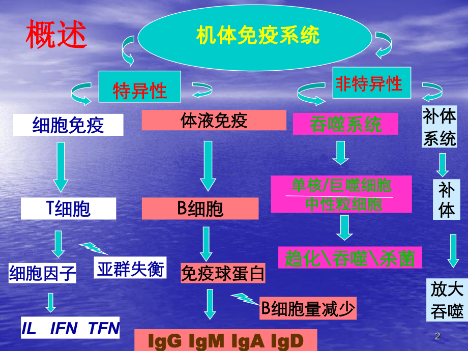 免疫缺陷病-PPT课件1.ppt_第2页