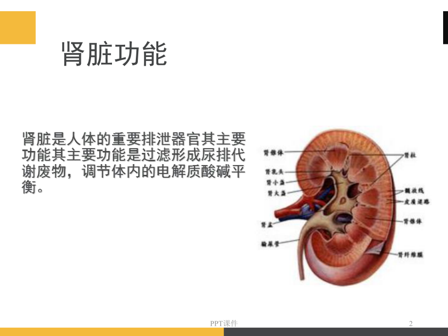 肾科内替代治疗-ppt课件.ppt_第2页