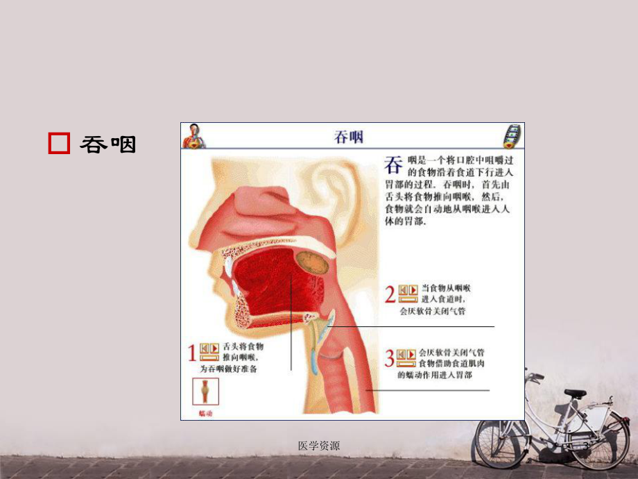 中风后吞咽障碍的康复治疗-ppt课件.ppt_第3页