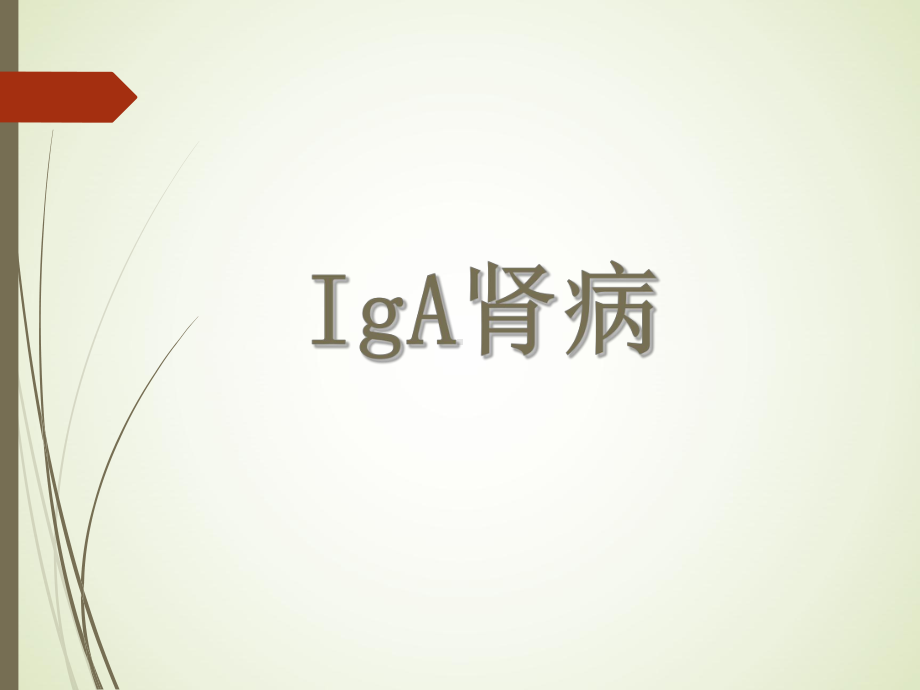 IgA肾病课件--PPT精品课件.pptx_第1页