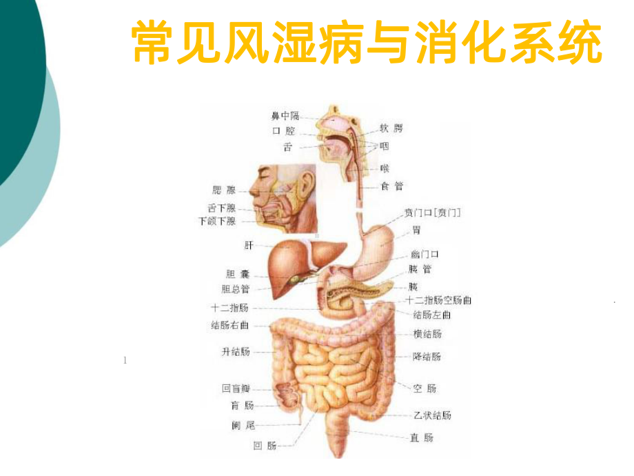 自身免疫性疾病的消化系统损害PPT课件1.ppt_第1页