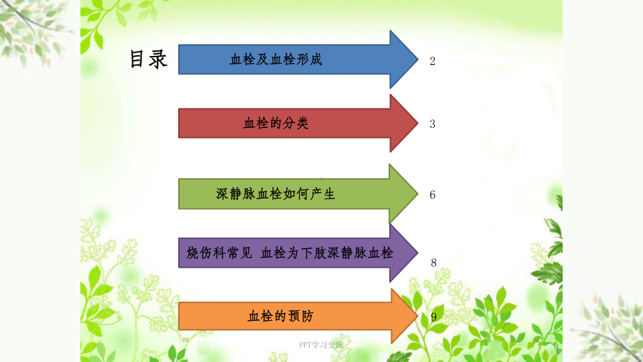 血栓防护宣教手册课件.ppt_第2页