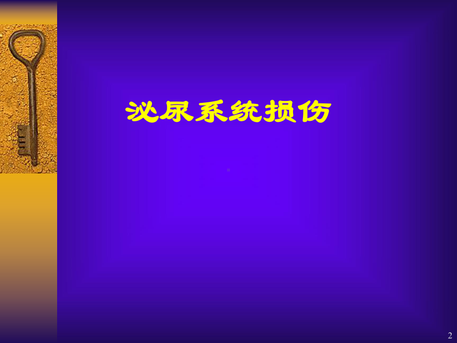 肾、膀胱损伤护理-ppt课件.ppt_第2页