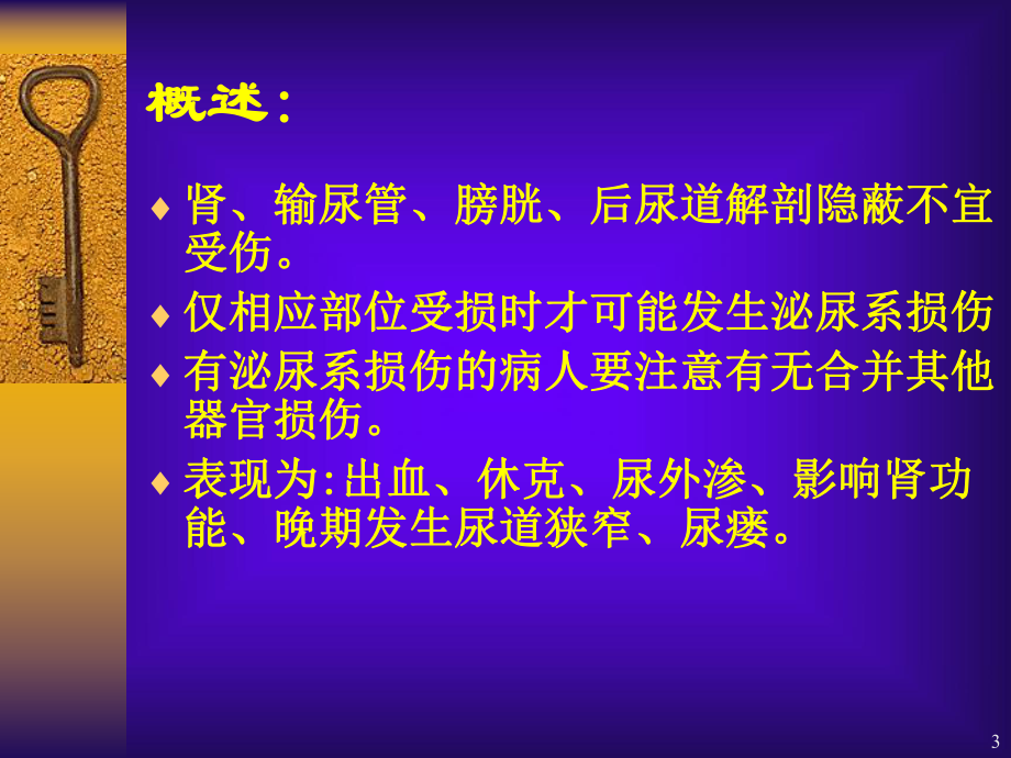 肾、膀胱损伤护理-ppt课件.ppt_第3页