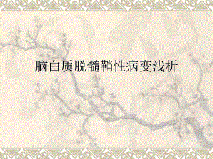 脱髓鞘病变课件.ppt