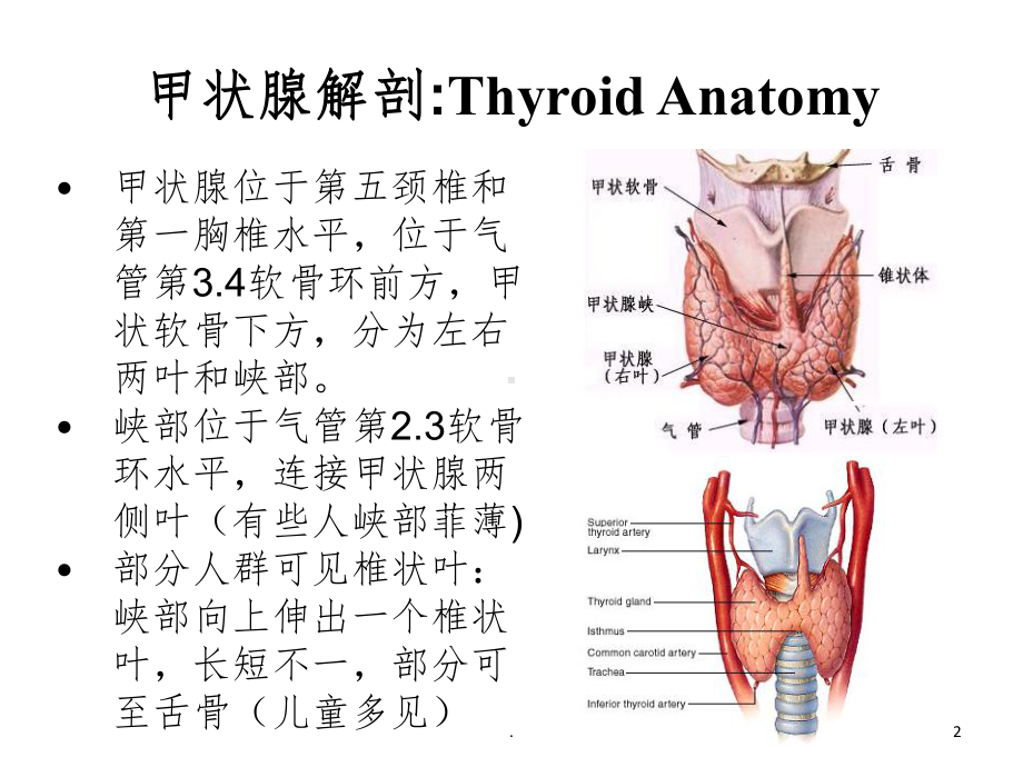 甲状腺结节的超声规范化诊断ppt课件.ppt_第2页