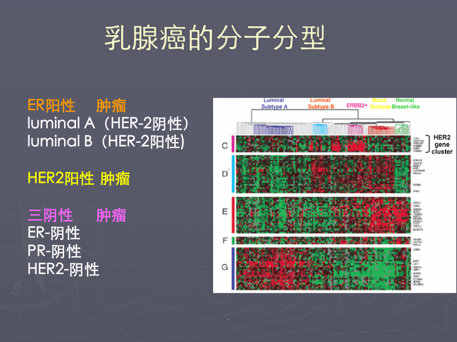 Her-2阳性乳腺癌辅助治疗PPT演示课件.ppt_第3页