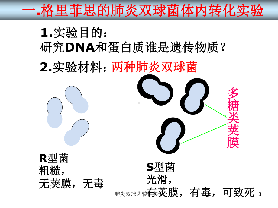 肺炎双球菌转化实验PPT课件.ppt_第3页