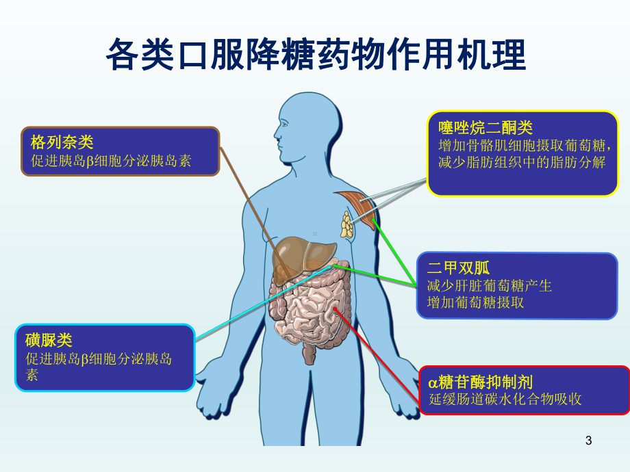 糖尿病药物分类PPT演示课件.ppt_第3页