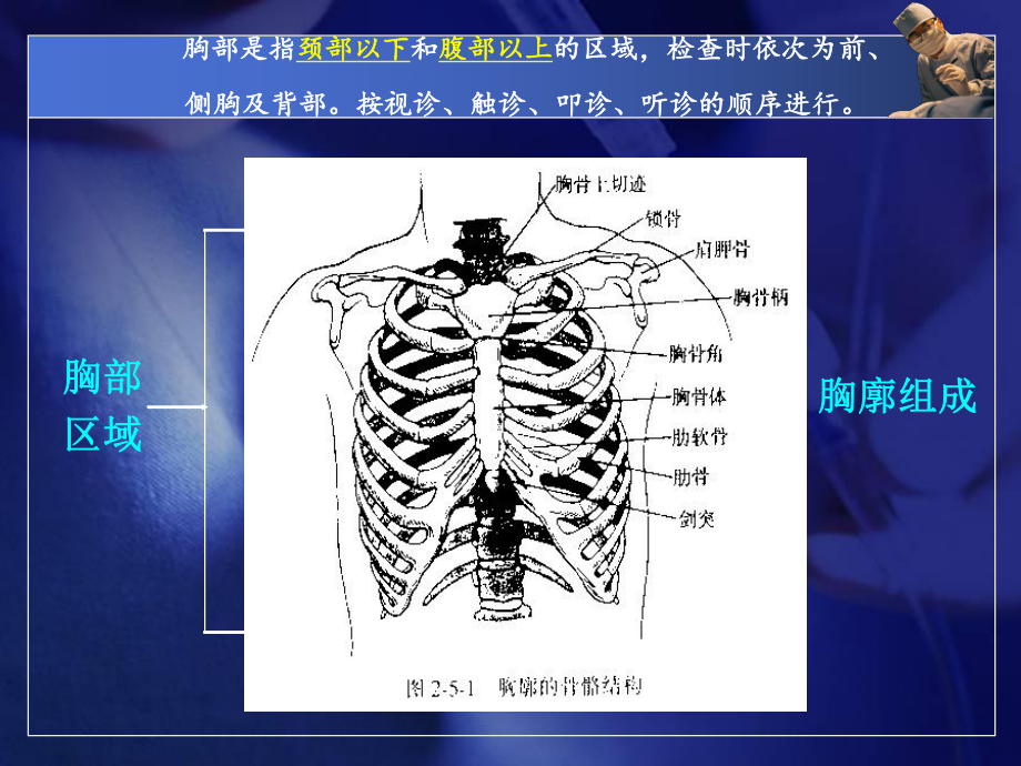 诊断学-胸部检查课件.ppt_第3页