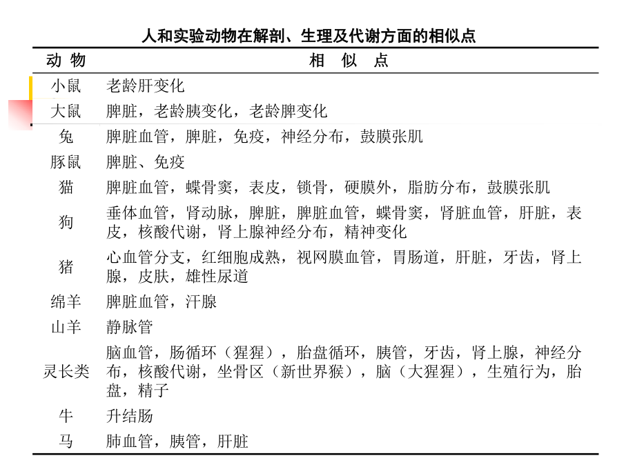 最新心血管疾病动物模型模型建立主题讲座课件.ppt_第1页