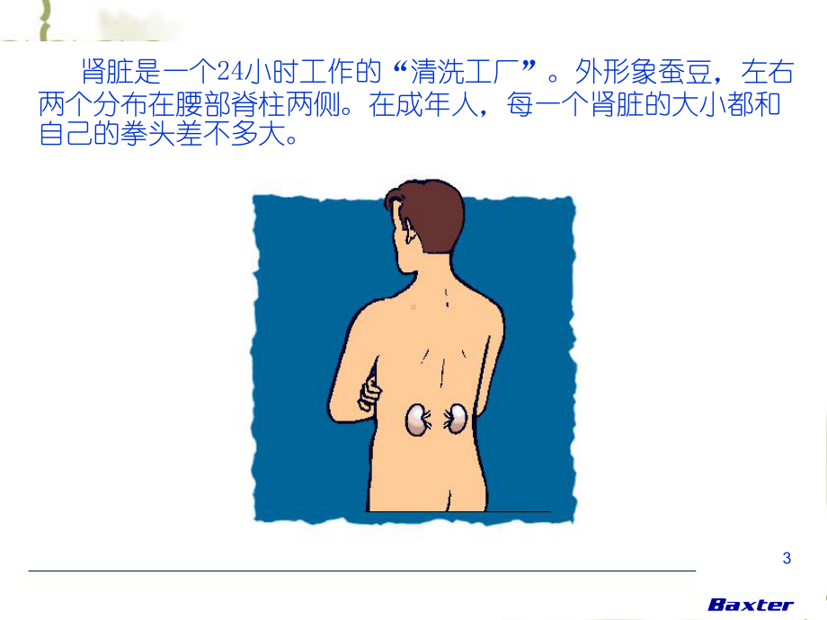 慢性肾脏病简介PPT课件.ppt_第3页