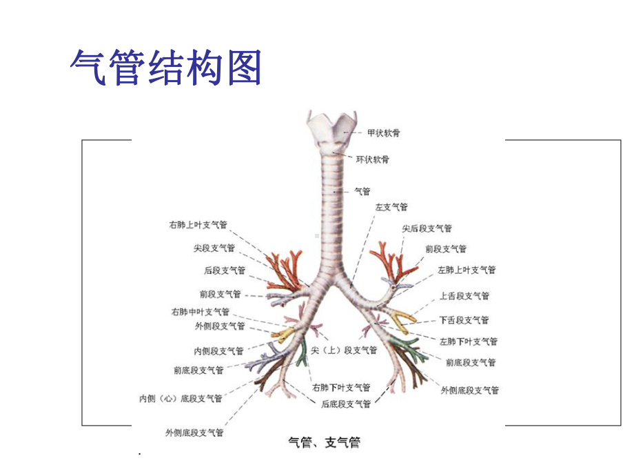 纤维支气管镜检查的护理共59页PPT资料课件.ppt_第2页