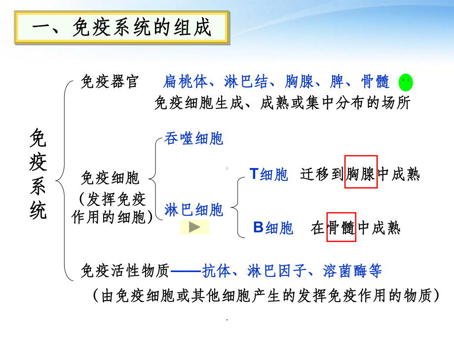 高中生物《免疫调节》ppt课件.ppt_第3页