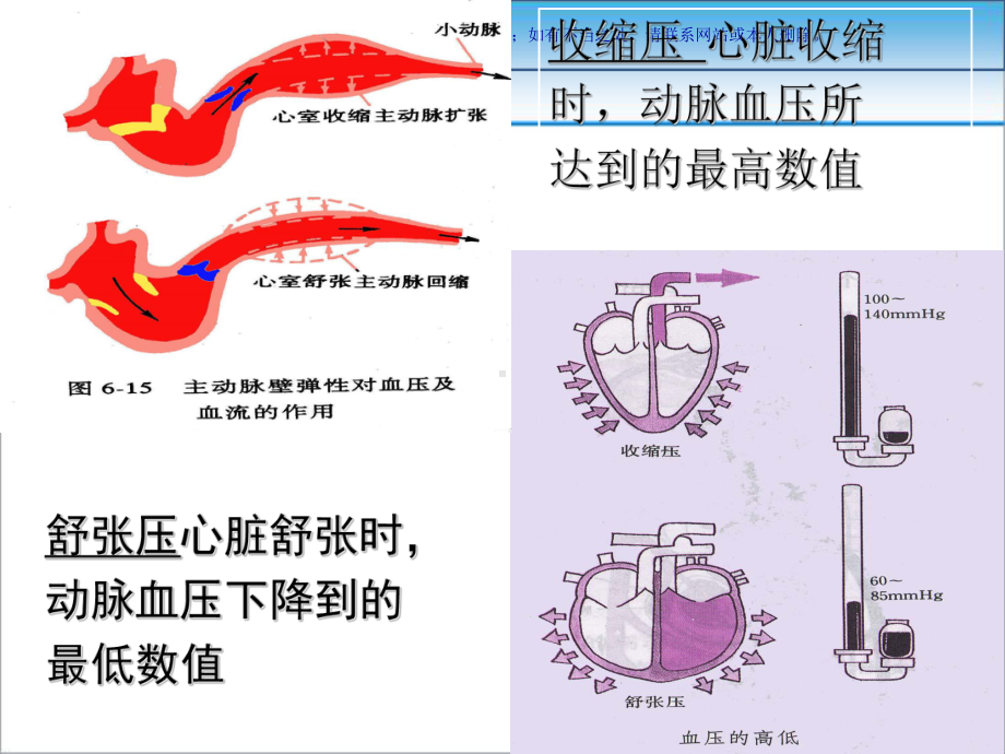 高血压的发病机制课件.ppt_第3页