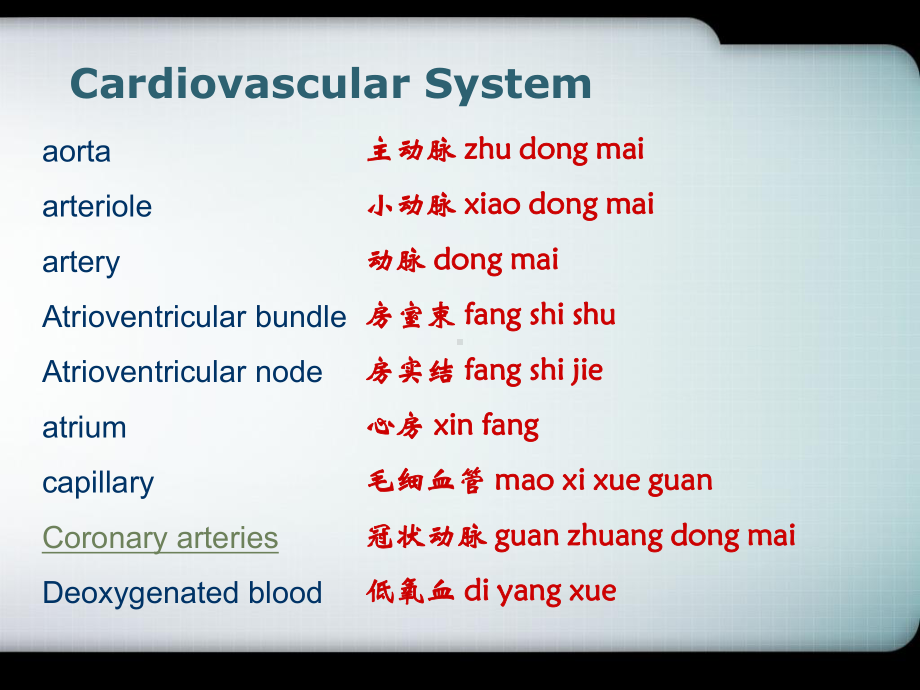 中英文双语PPT精品课件心血管系统Cardiov.ppt_第1页