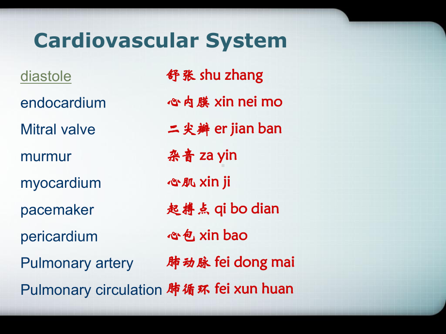 中英文双语PPT精品课件心血管系统Cardiov.ppt_第2页