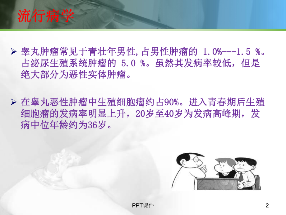 睾丸肿瘤-ppt课件.ppt_第2页