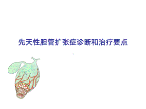 先天性胆管扩张症诊断和治疗要点PPT课件.ppt