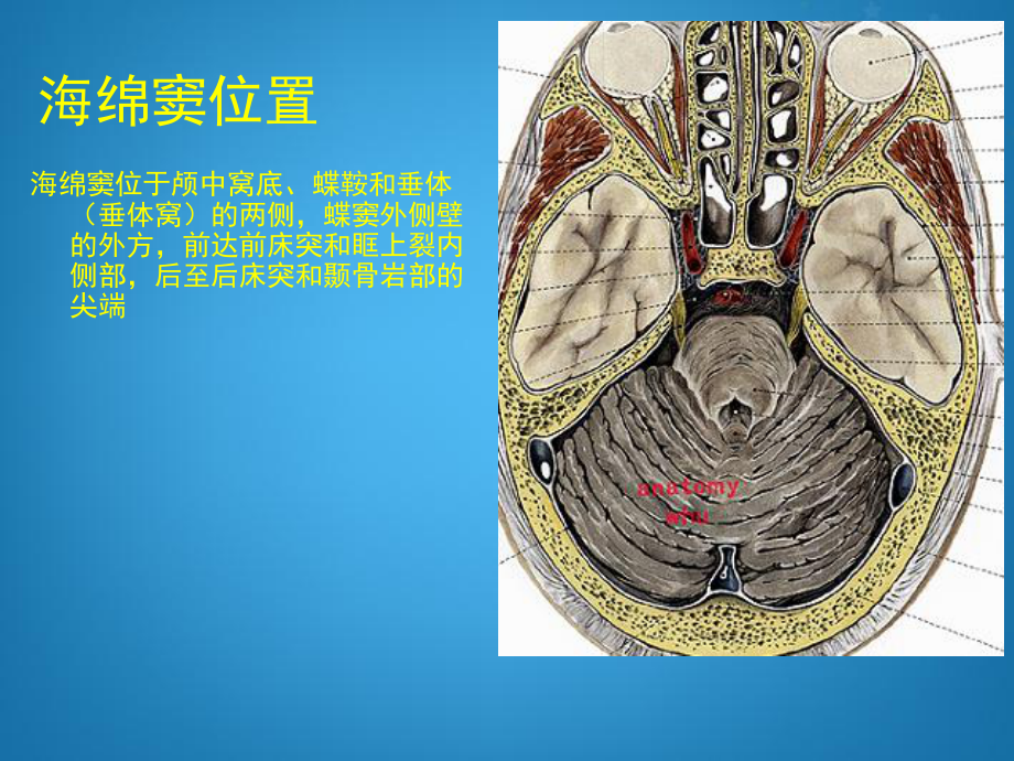 海绵窦综合征-ppt课件.ppt_第3页