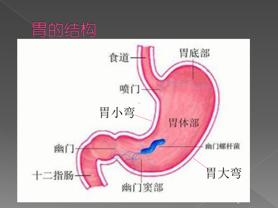 胃炎患者的护理PPT课件.pptx_第2页