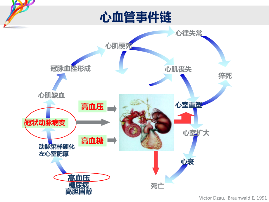 成人高血压诊断和治疗标准-ppt课件.ppt_第3页