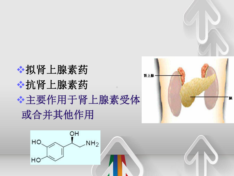 肾上腺素能药物分类和作用机理课件.ppt_第2页