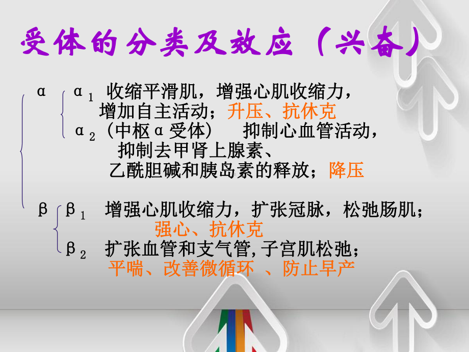 肾上腺素能药物分类和作用机理课件.ppt_第3页