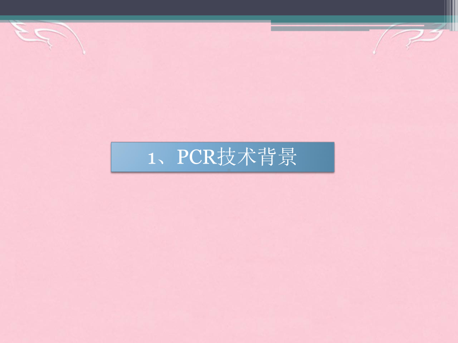 PCR技术在临床中的应用-肿瘤个性化治疗课件.ppt_第3页