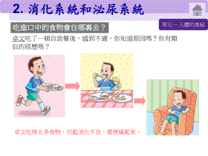 消化系统和泌尿系统课件.ppt