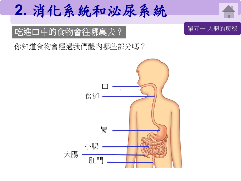 消化系统和泌尿系统课件.ppt_第3页