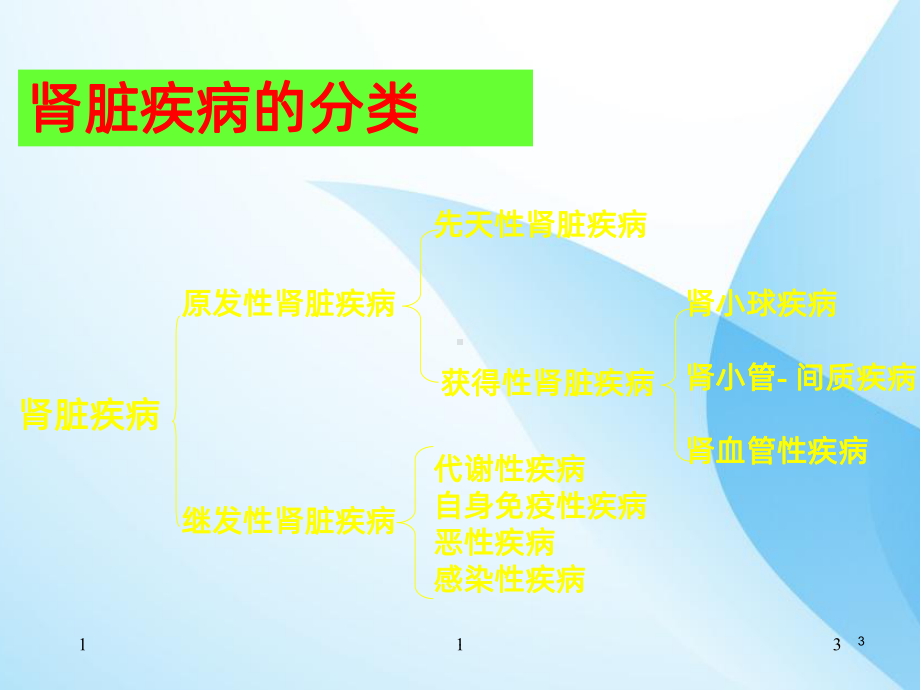 肾脏病临床诊断思路与技巧-ppt课件.ppt_第3页