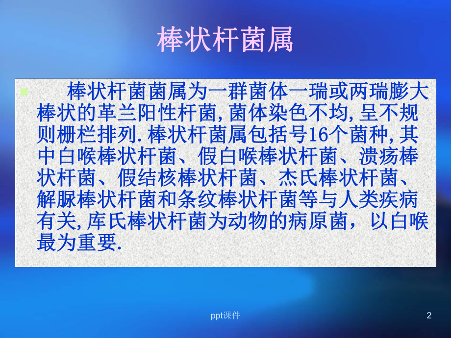 阳性杆菌-ppt课件.ppt_第2页