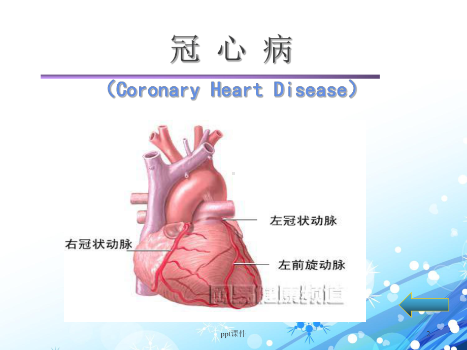 心绞痛与急性心肌梗塞的临床与护理-ppt课件.ppt_第2页