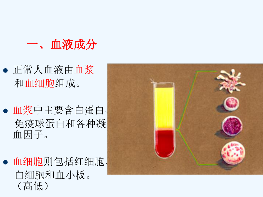 最新版成分输血及护理课件.ppt_第3页