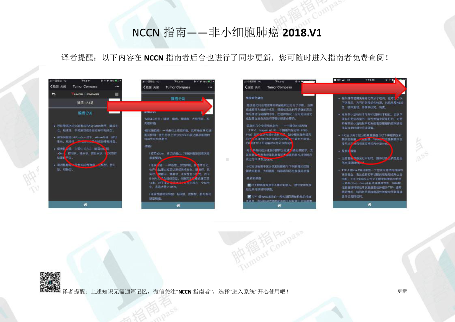 NCCN临床实践指南：非小细胞肺癌(中文版)课件.pptx_第3页