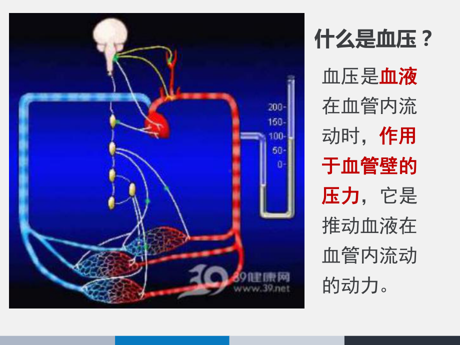 高血压防治-ppt课件1.ppt_第2页