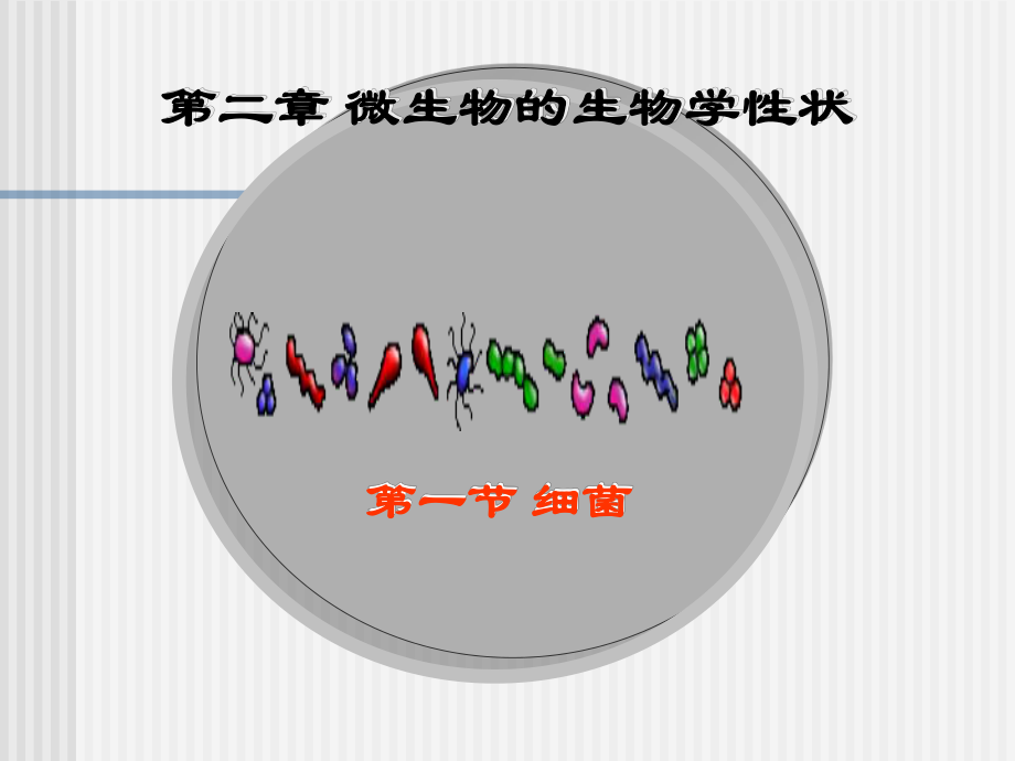 医学微生物学1课件.ppt_第2页