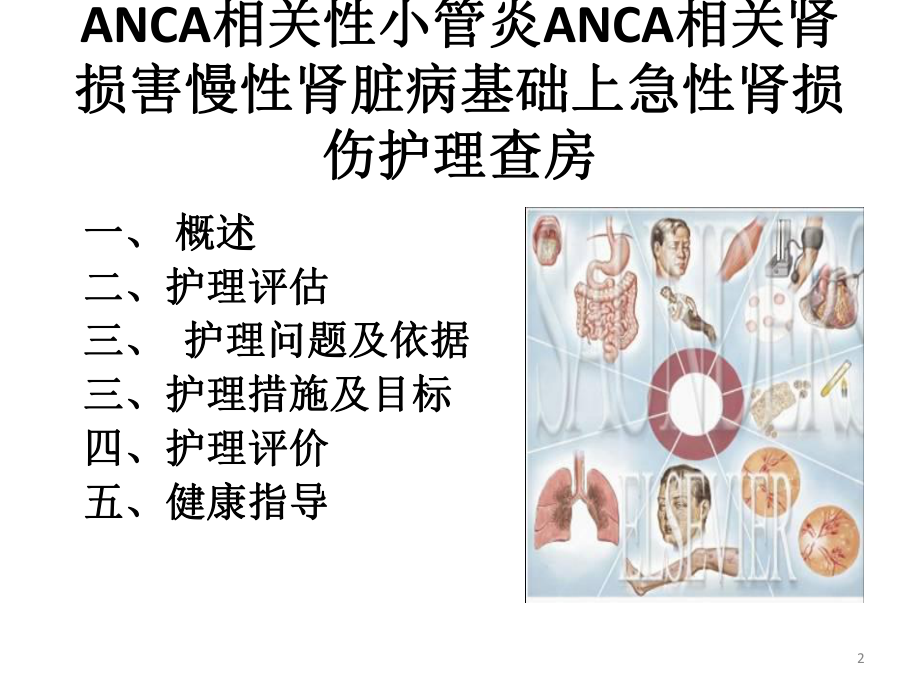 相关性小血管炎PPT课件.pptx_第2页