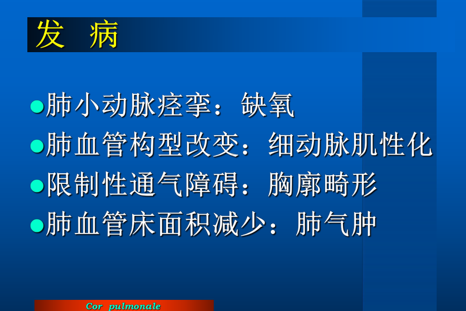 慢性肺源性心脏病-共63页文档课件.ppt_第3页