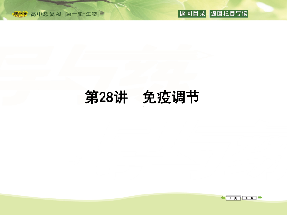 细胞免疫过程效应T细胞来源课件.ppt_第1页