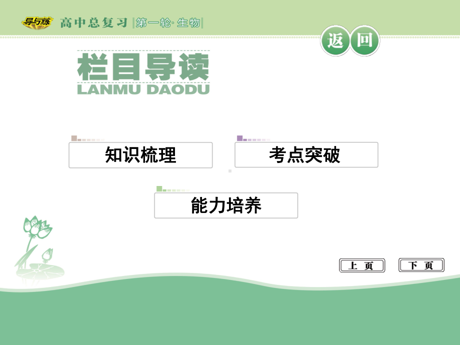 细胞免疫过程效应T细胞来源课件.ppt_第3页