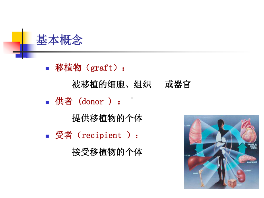 移植免疫ppt优秀课件.ppt_第3页