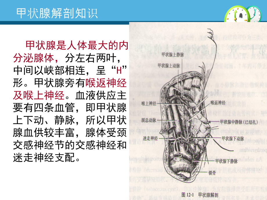 甲状腺癌术前、术后护理ppt课件.pptx_第3页