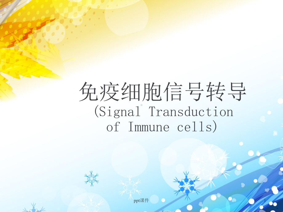 免疫细胞信号转导-ppt课件.ppt_第1页