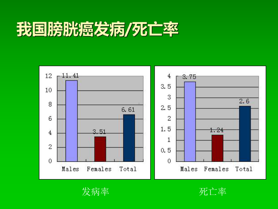 非肌层浸润性膀胱癌的诊疗治疗PPT培训课件.ppt_第3页