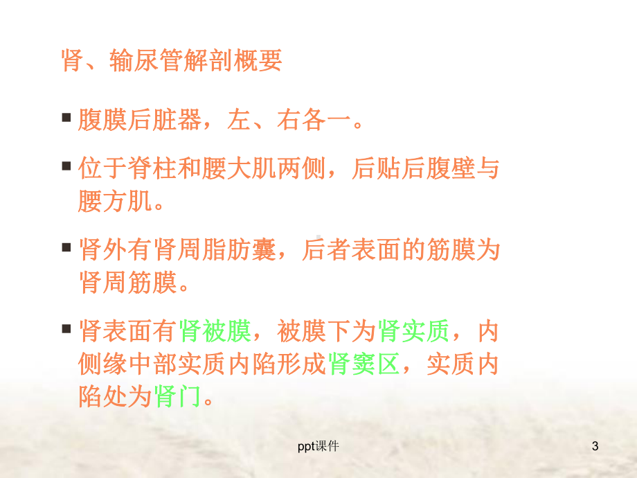 泌尿系结石影像诊断-ppt课件.ppt_第3页