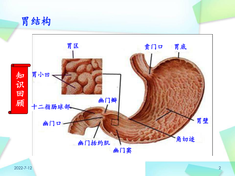 急性胃炎医学PPT课件.ppt_第2页