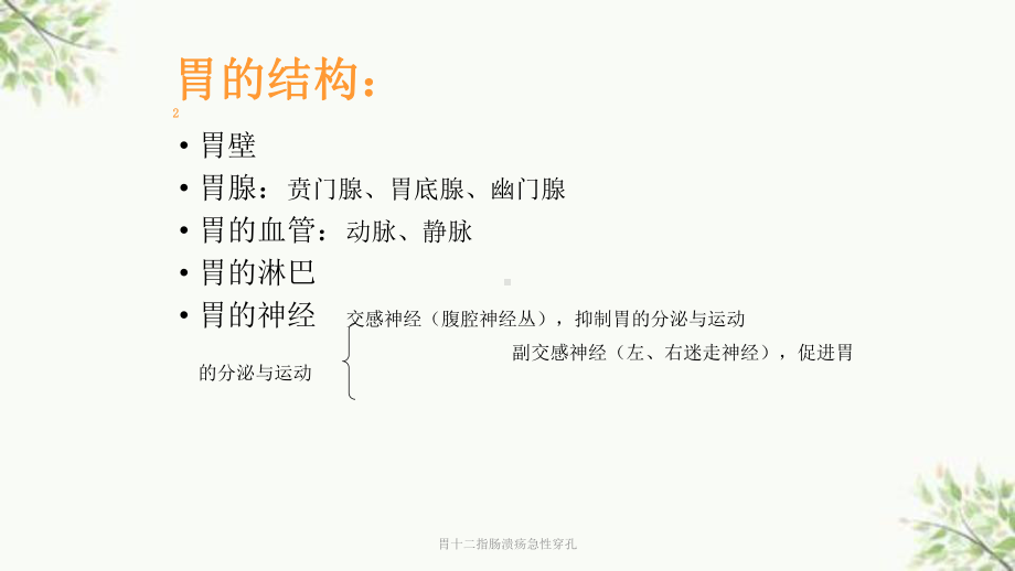 胃十二指肠溃疡急性穿孔课件.ppt_第3页