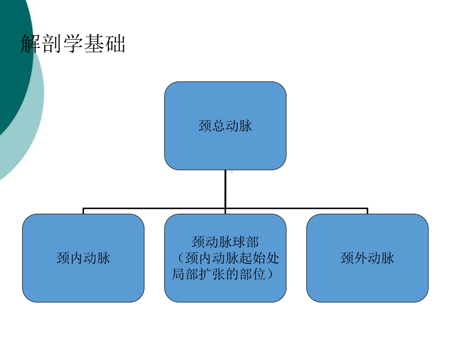 颈部血管超声规范课件.ppt_第3页